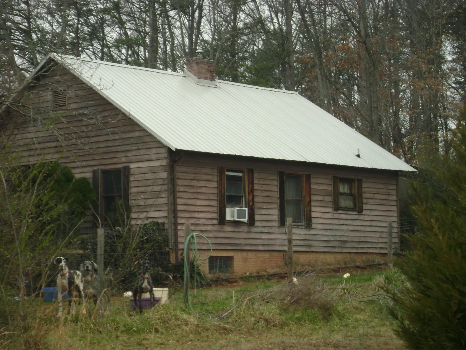 White metal roof on an old wood sided farmhouse, from a Asphalt Shingle Roof Repair job in Piru
